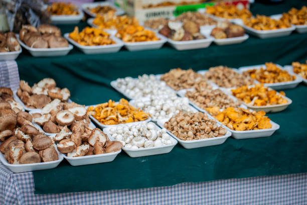 Mushroom stand