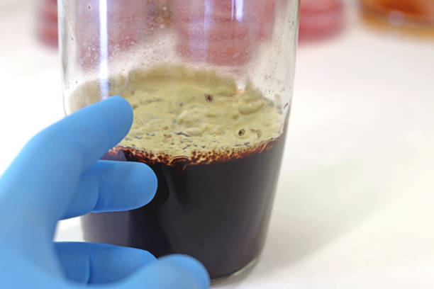A glass jar or bottle with mushrooms in the microbiology lab