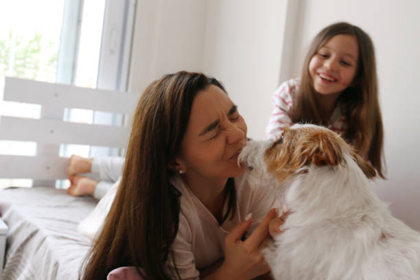 istock Happy family with a pup 2152731416