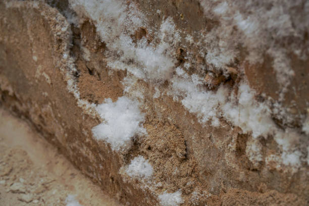 White mold on the wall in a damp basement or dungeon. Selective focus