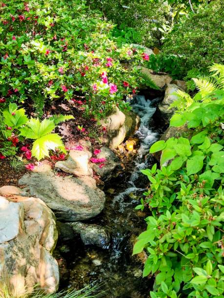 istock Wonderful view of the park. 2152745320