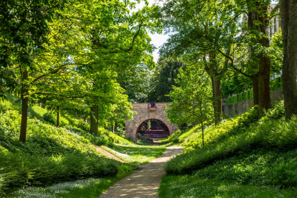 istock scenic castle park with green trees in Friedberg, Germany 2152746420