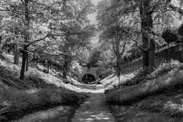 scenic castle park with green trees in Friedberg, Hesse, Germany