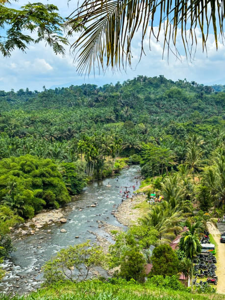istock Beautiful River in the middle of the forest 2152749760