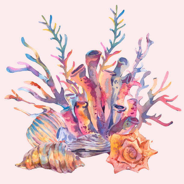 istock Watercolor Vintage Ocean Treasures, Seaweeds, Seashells Greeting Card 2152752386