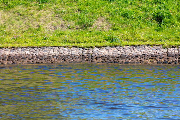 River bank with green grass.