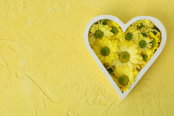 Heart with chrysanthemums on yellow textured background.