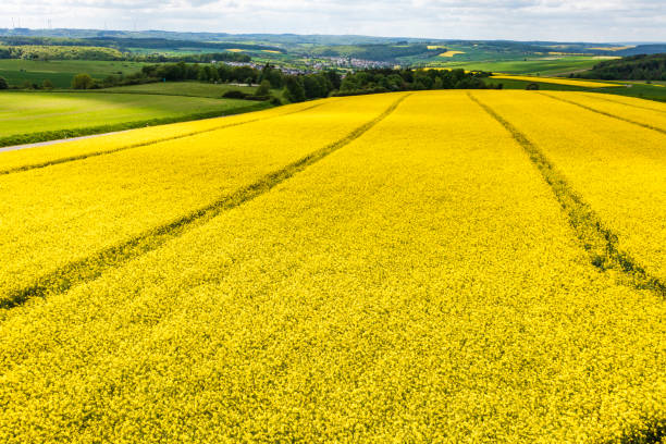 istock Spring landscape in the Taunus 2152755604