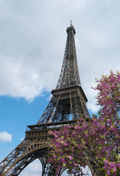 istock Eiffel Tower and flowers. Paris. France. 2152755728