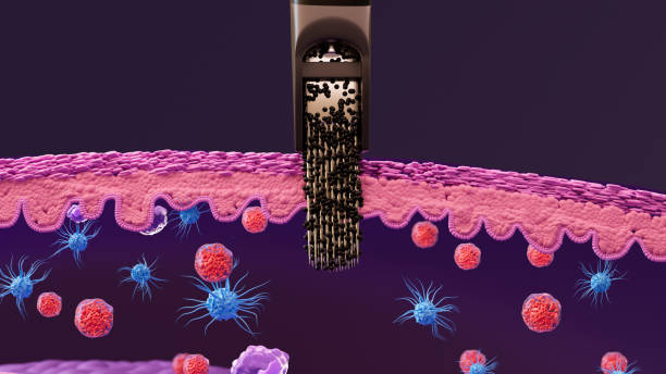 istock Tattoo permanence: layers of human skin, needles and tattoo inks 2152756024