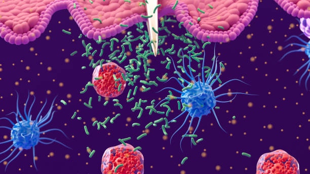 istock Immune System: Macrophages, Dendritic Cells, and White Blood Cells Defend Against Bacterial Infections and Pathogens 2152756092
