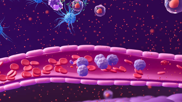 istock Immune System: Macrophages, Dendritic Cells, and White Blood Cells Defend Against Bacterial Infections and Pathogens 2152756113
