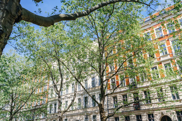 istock Spring Day in Berlin: Lush Green Trees and Classic Architecture 2152756192