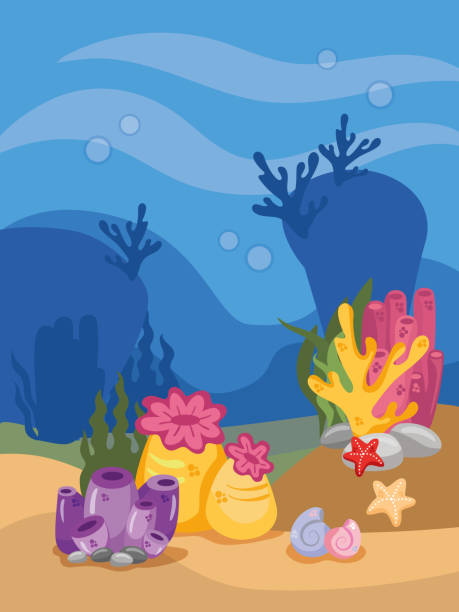 istock Underwater bottom with coral, seaweed, seabed, illustration of the seabed 2152756569