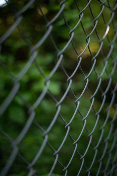 istock A fence in a forest 2152759485