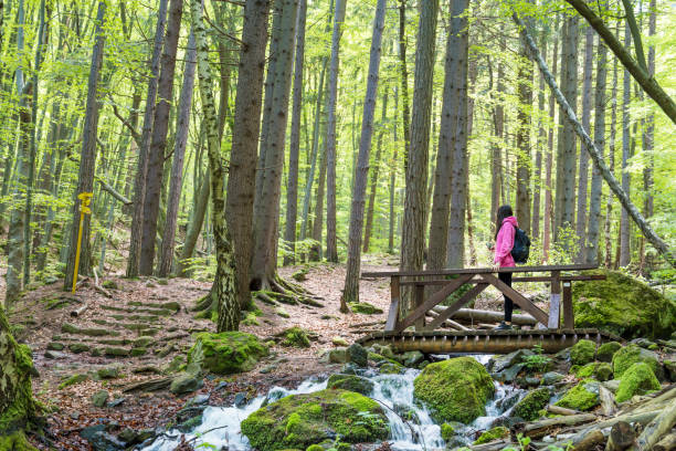 istock Woman  in a green spring forest 2152763715