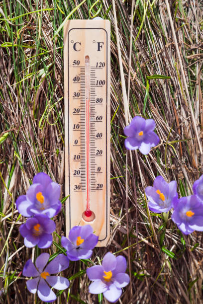 istock Wooden thermometer in the spring mountain 2152763829