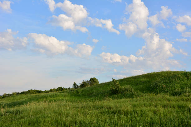 a field with a sky and white clouds in sunset