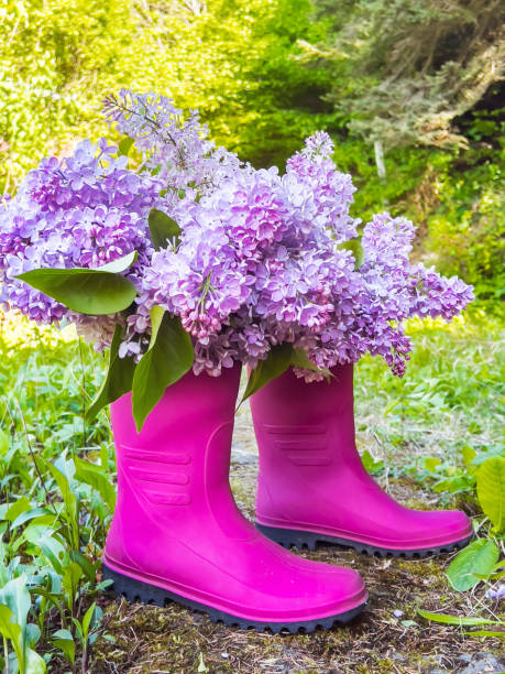 Rubber boots with purple lilac