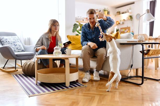 istock Playful dog enjoying with his owners 2152766282
