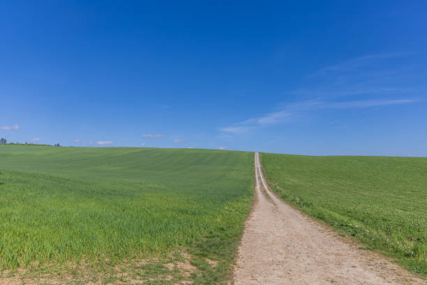 istock Spring landscape. Green fields and meadows with blue sky and white clouds. 2152770065