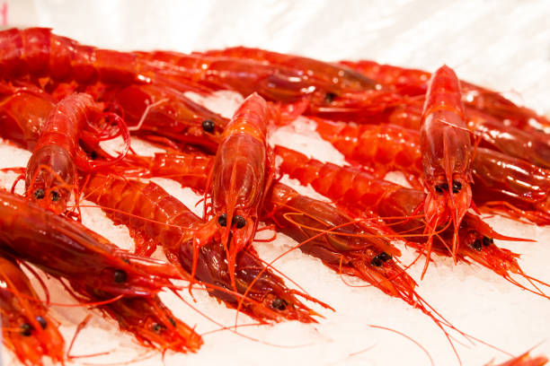 istock fish market with many different fresh fishes 2152771249