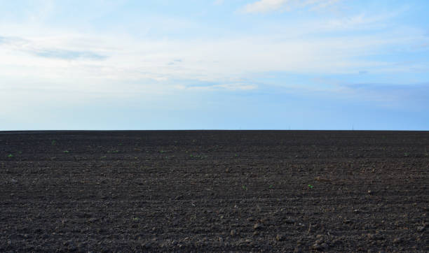 istock a plowed field with horizon line in the dusk copy space 2152772943