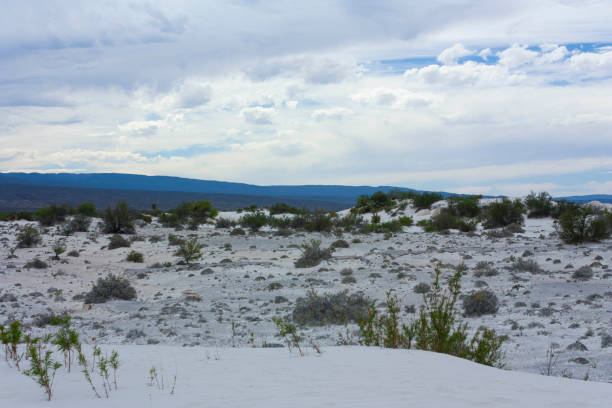 White desert also known as Dunas de Yeso located in Coahuila Mexico