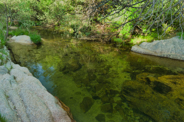 landscape view of a mountain stream on a sunny day