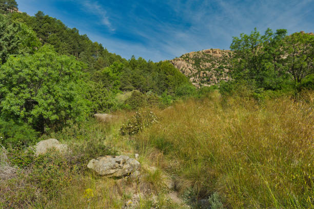 mountain landscape view of the mountains in central spain in spring