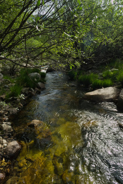istock landscape, view, nature, plants, water, stream, mountain, flora, mountains, current, spring, 2152778737