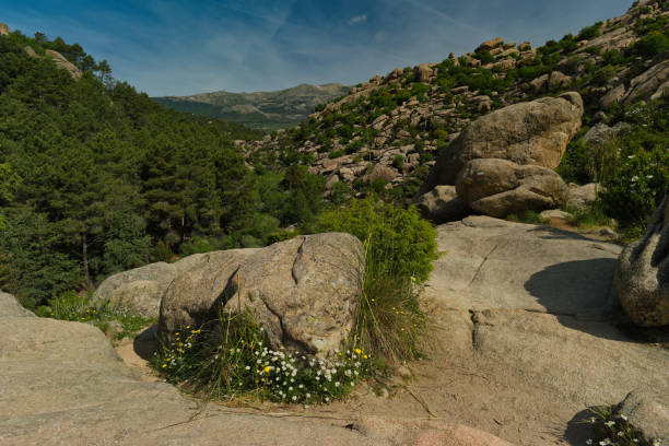 mountain landscape view of the mountains in central spain in spring