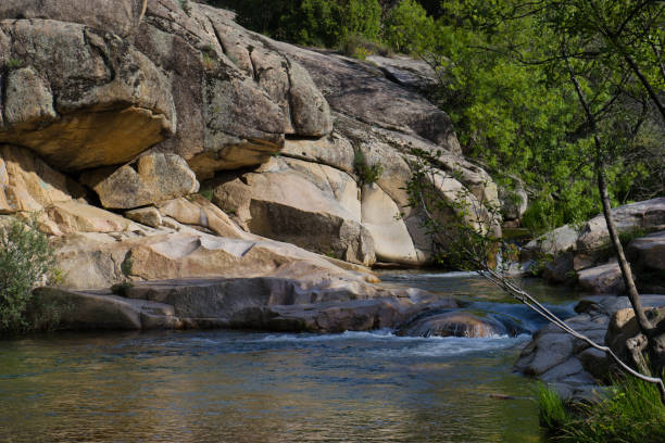 landscape view of a mountain stream on a sunny day