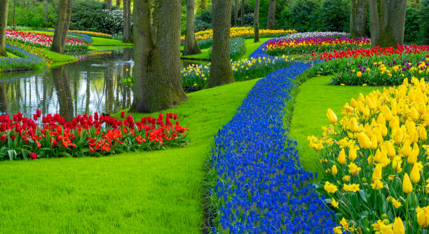 istock Spring Flowers in a Garden 2152779299
