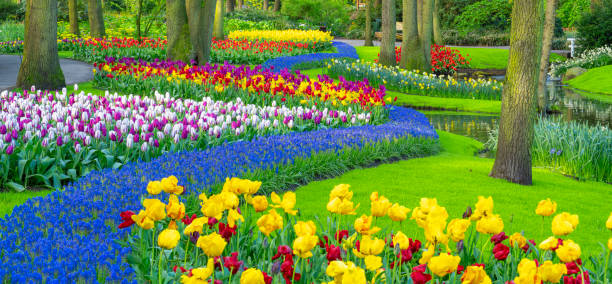 istock Spring Flowers in a Garden 2152779340