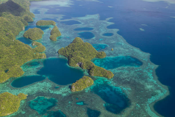 Areal view of coral reef in turquoise waters meeting the Rocks Islands of Palau.