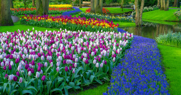 istock Spring Flowers in a Garden 2152779419