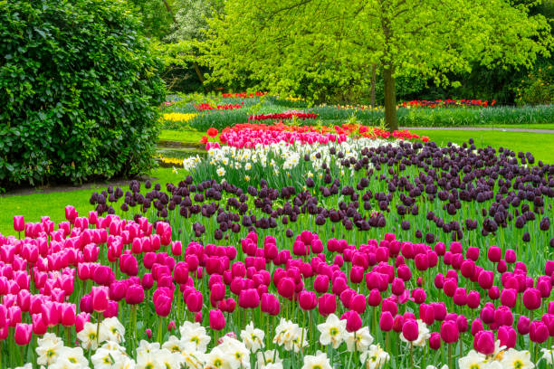 istock Spring Flowers in a Garden 2152779531