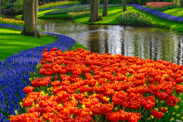 istock Spring Flowers in a Garden 2152779683