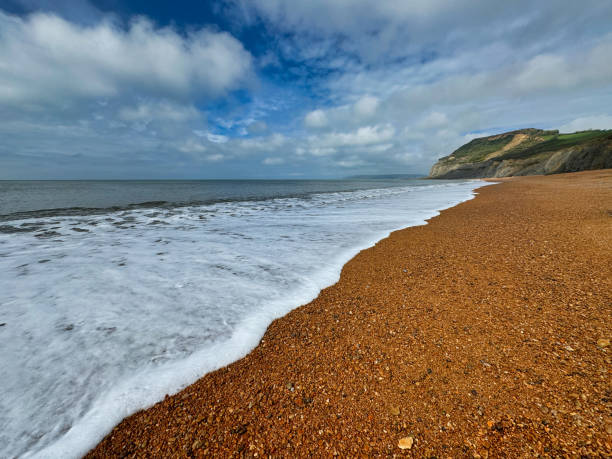 Crashing wave on a beach on a sunny day