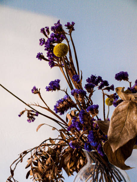 istock Still life with dried flowers  in nude style 2152784946