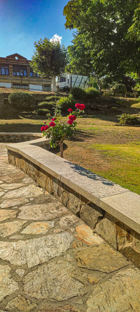 istock Antonio Sanz Park 2152786013