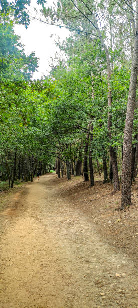 istock Walking the Camino 2152786035