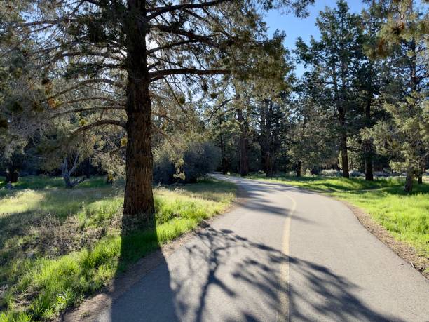 istock A refreshing morning bike path, bathed in soft sunlight, winding through nature's beauty, offering a tranquil start to the day's journey. 2152787517