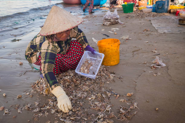 istock Vietnamese woman sorting fresh catch, Mui Ne 2152787599