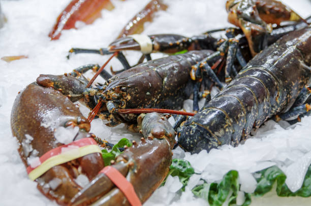 istock Lobster on the counter covered with ice 2152789677
