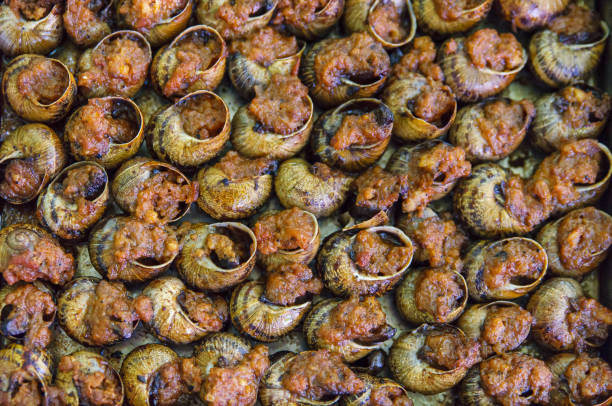 Traditional Catalan dish of baked snails with sauce