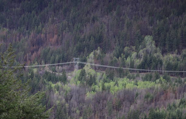 istock Electrical Towers in the Thompson River Valley, Canada 2152798395