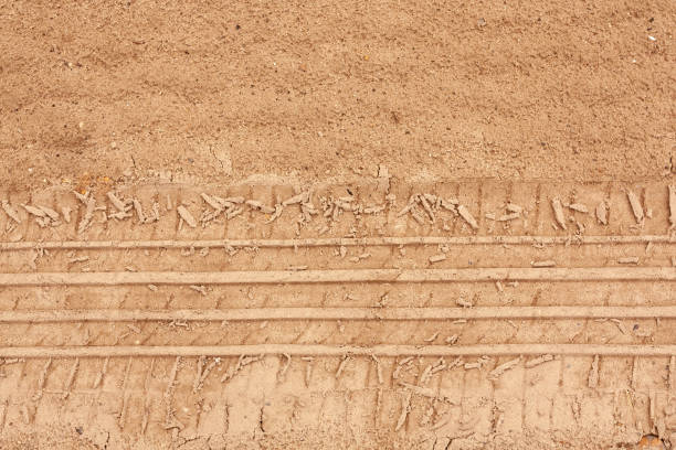 Tire tracks in the sandy soil