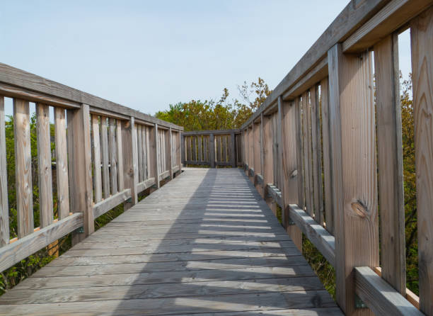 istock Wooden Bridge through Forest with green Trees 2152799596
